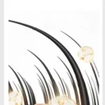 LIMANCY SULFUR SHAMPOO – REPAIRS DAMAGED SCALP & HAIR - Image 4