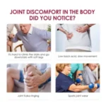 PERFECTX INTENSIVE CONCENTRATED JOINT & BONE THERAPY CREAM WITH COLLAGEN, VITAMIN, K2 & MSM – 50G - Image 5