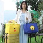 CLASSIC PICNIC & TRAVELING CARRIER CHARACTER BAG - Image 4