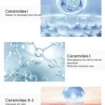 CERAVE MOISTURIZING CREAM FOR DRY TO VERY DRY SKIN (3 SIZES TO CHOOSE FROM) - Image 3