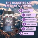 DAYNEE SHILAJIT 1000MG  OVERALL HEALTH THERAPY GUMMIES - (60 VEGANS GUMMIES)