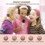 RECHARGEABLE KARAOKE BLUETOOTH SPEAKER WITH DOUBLE MICROPHONES - Image 3