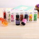 10ML PLANT SCENTED HUMIDIFIER FRAGRANCE OIL