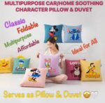 1PC MULTIPURPOSE CAR/HOME SOOTHING CHARACTER PILLOW/DUVET