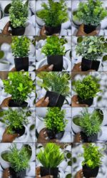 ARTIFICIAL EXQUISITE DECORATIVE BONSAI BLACK POT ORNAMENTAL GREEN PLANT - Image 2