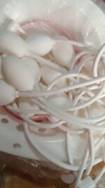 MEN & WOMEN SQUATTING & STEAMING TOILET BASIN  WITH PUMP (STEAMING SITTER/POTTY) - WHITE - Image 4