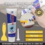 UNIVERSAL WALL MENDING OINTMENT / REPAIR PASTE SET (Paste + Hose + Spatula)