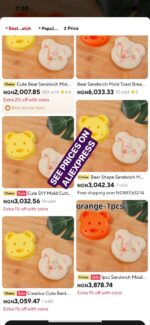 1PC CUTE BEAR KIDDIES SANDWICH CUTTER / MOULD MAKER - Image 10