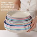 1PC HEALTHY ECO-FRIENDLY THICKENED PLASTIC PLATE