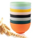 1PC HEALTHY ECO-FRIENDLY THICKENED PLASTIC ‘OUTER STRIPED’ SERVING SOUP BOWL (01) - Image 4