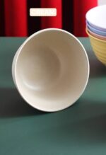 1PC HEALTHY ECO-FRIENDLY THICKENED PLASTIC ‘FULL SPIRAL’ SERVING SOUP BOWL (03) - Image 10