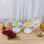 700ML DISNIE REGINA ELECTRIC CITRUS JUICER / JUICE EXTRACTOR - Image 2