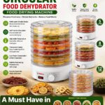 MULTILAYERED CIRCULAR FOOD DEHYDRATOR / FOOD DRYING MACHINE
