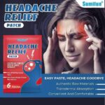6PCS HEADACHE RELIEF PATCH (HERBAL HEAD TREATMENT PLASTER)