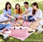 1PC COLLAPSIBLE INSULATED PICNIC BAG